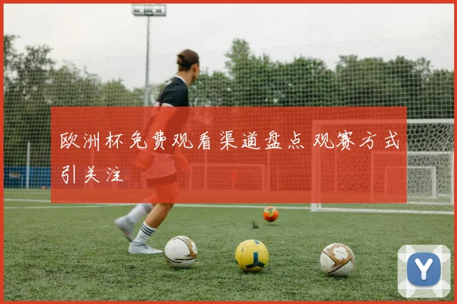 欧洲杯免费观看渠道盘点 观赛方式引关注