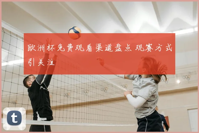 欧洲杯免费观看渠道盘点 观赛方式引关注